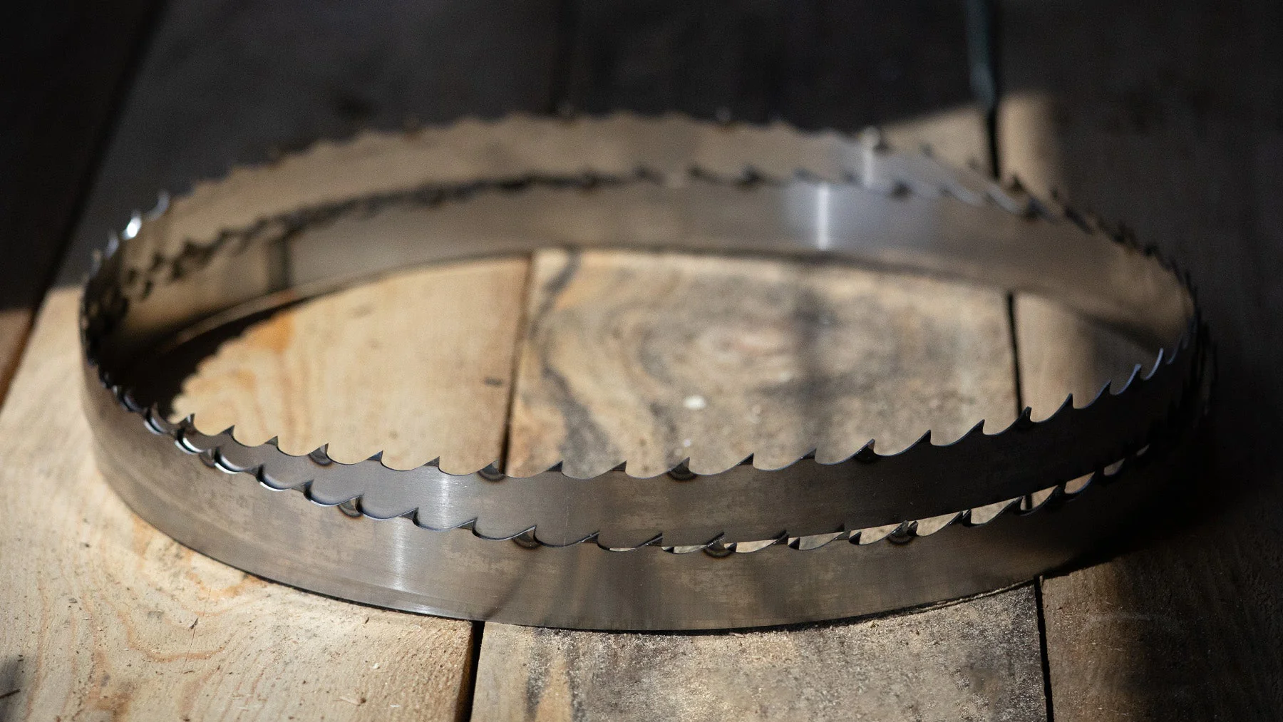 Stellicut Premium Tipped Bandsaw Sawmill Blades - Image 8